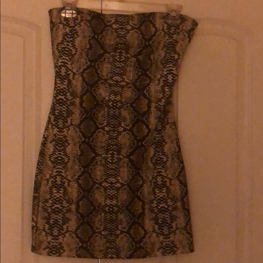 Python Strapless Dress